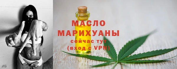 мдпв Каменногорск