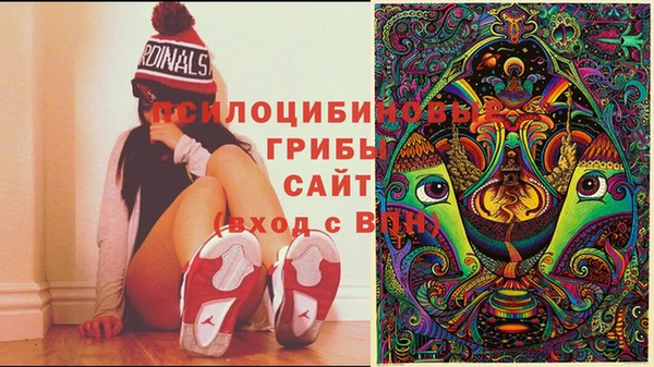 mdma Каменск-Шахтинский