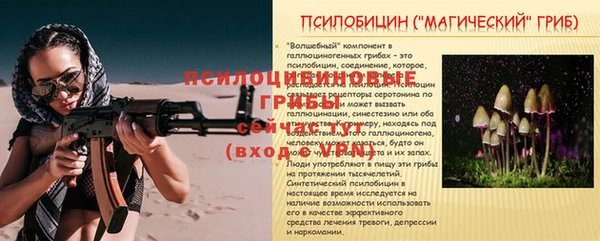 a pvp Инсар