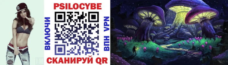 Купить  Нюрба  Галлюциногенные грибы Psilocybine cubensis 